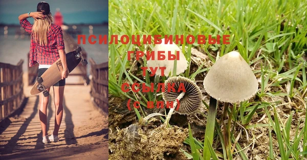 герыч Алзамай