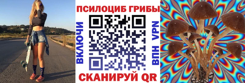 darknet официальный сайт  Егорьевск  Псилоцибиновые грибы GOLDEN TEACHER 