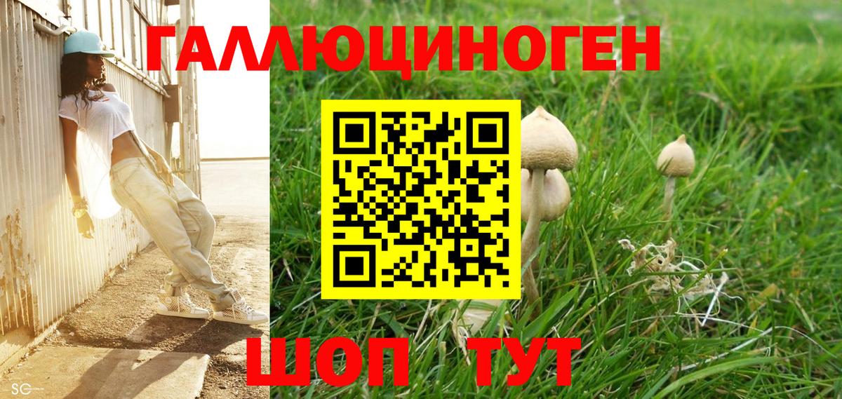 продажа наркотиков  Галлюциногенные грибы ЛСД  Вход с VPN  Галлюциногенные грибы GOLDEN TEACHER  Егорьевск 